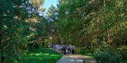 Белокрыльник болотный зацвел в «Лосином острове»