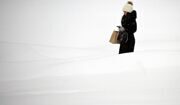 Синоптик Позднякова: В Москве ожидаются морозы до минус 23 градусов в начале февраля