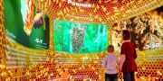 Москвичей приглашают 23 мая в «Биокластер» на ВДНХ отметить Всемирный день пчел