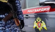 Столичные росгвардейцы спасли замерзавшую серую цаплю