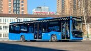Специальные маршруты до городских кладбищ запустят в Вербное воскресенье