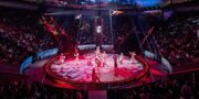 Горожане могут бесплатно увидеть лучшие цирковые номера в рамках открытия проекта «Лето в Москве»