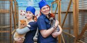 Финал конкурса «Московские мастера» по профессии «ветеринарный врач» пройдет в новом формате