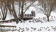 Облачная погода и до 4 градусов тепла ожидаются в Москве 9 марта