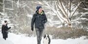 Облачная погода и до 8 градусов мороза ожидаются в Москве 15 января