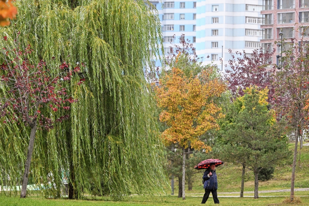 Переменная облачность и до плюс 18 ожидаются в столичном регионе 29 сентября