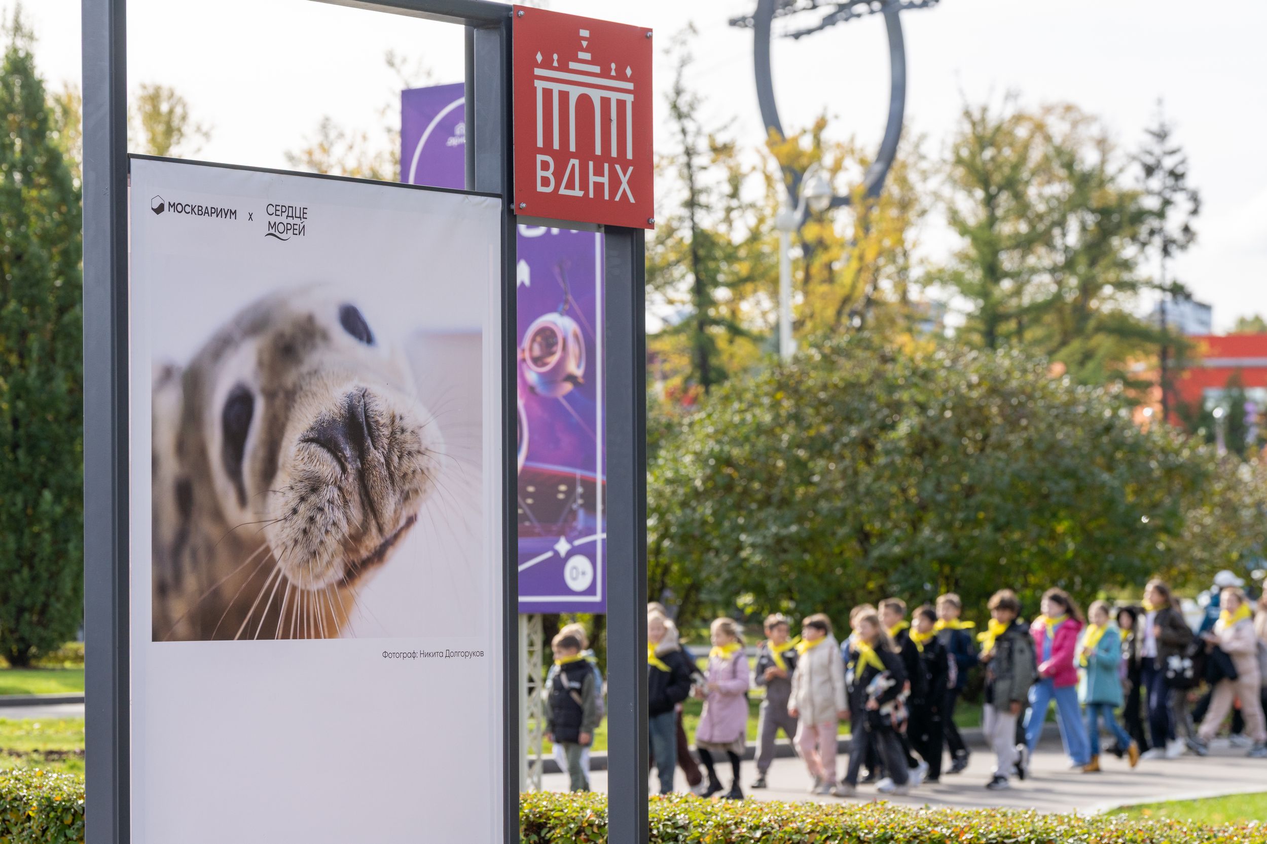 Фотовыставка о спасении тюленят открылась на ВДНХ