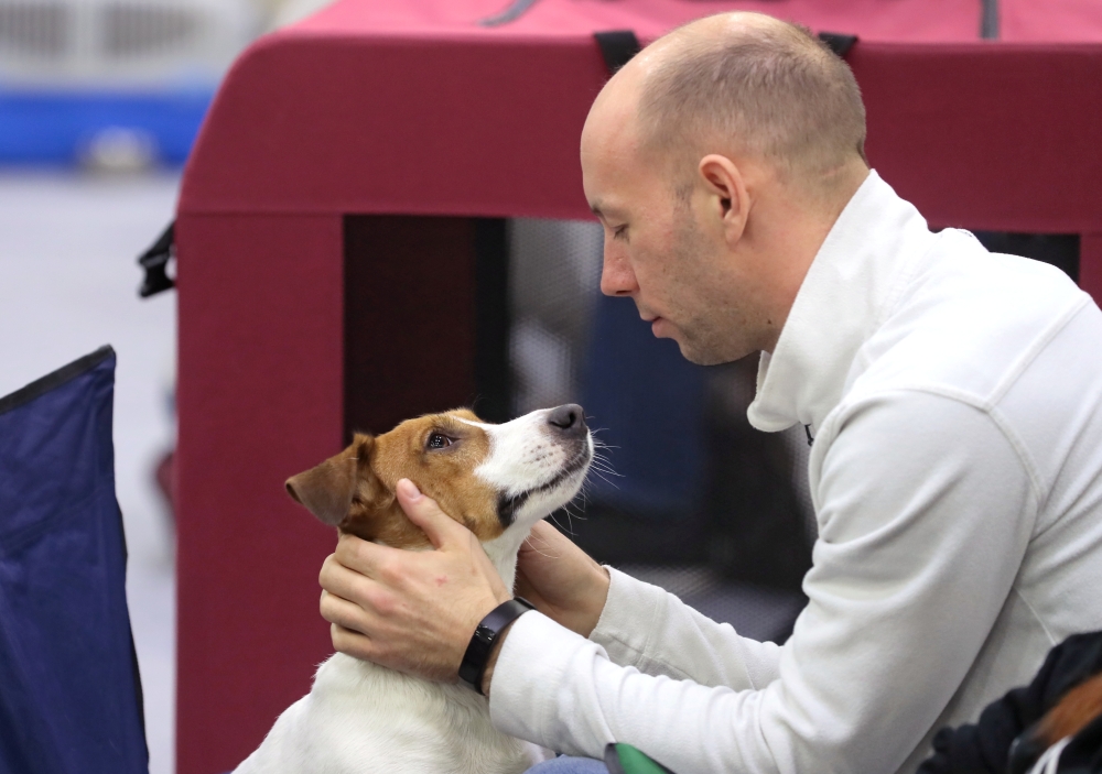 Более 10 тысяч собак представят на выставке «Евразия-2026» в Москве