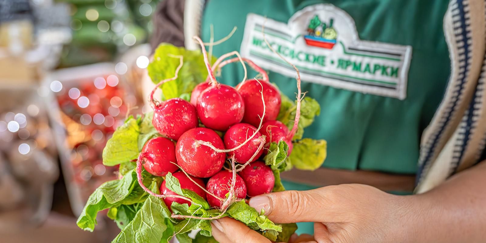 Осенний урожай редиса можно купить на московских ярмарках