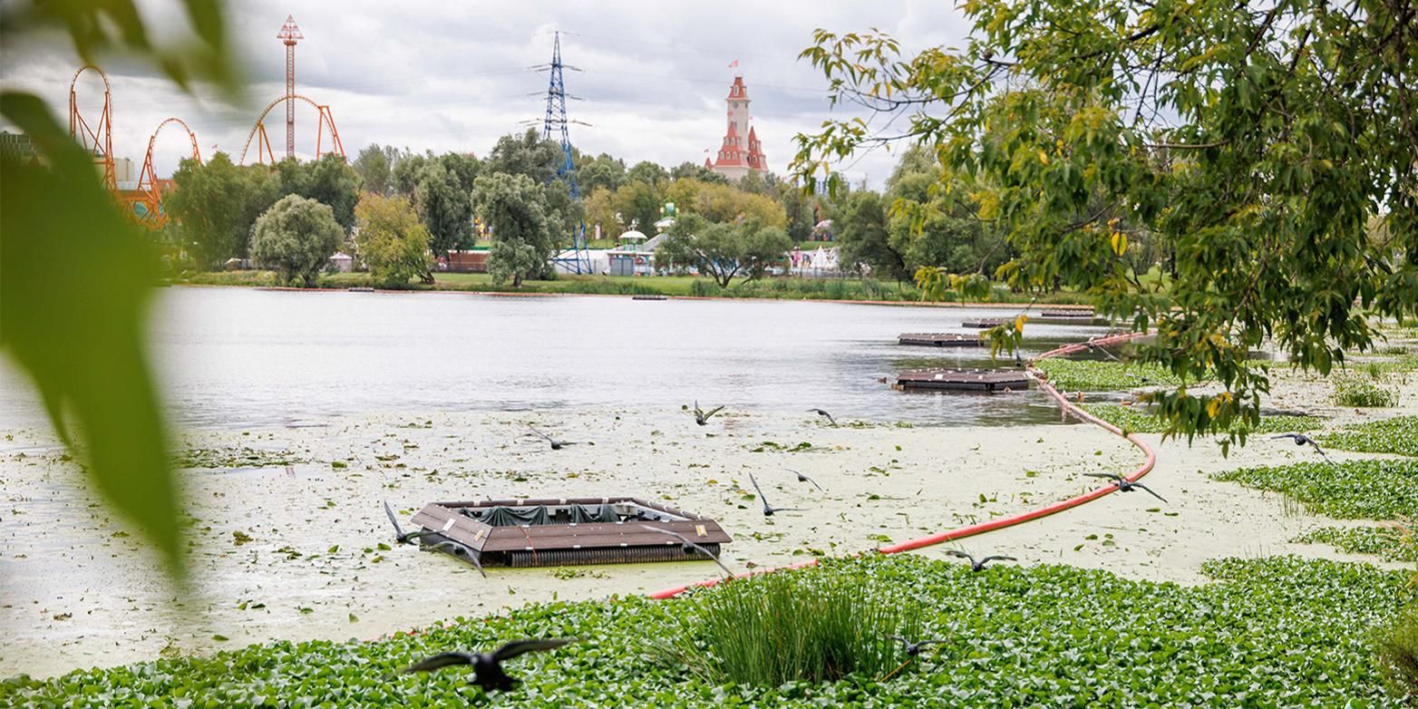 Водоросли, реагенты и водяные гиацинты: что влияет на качество воды в Москве и кто контролирует ее чистоту