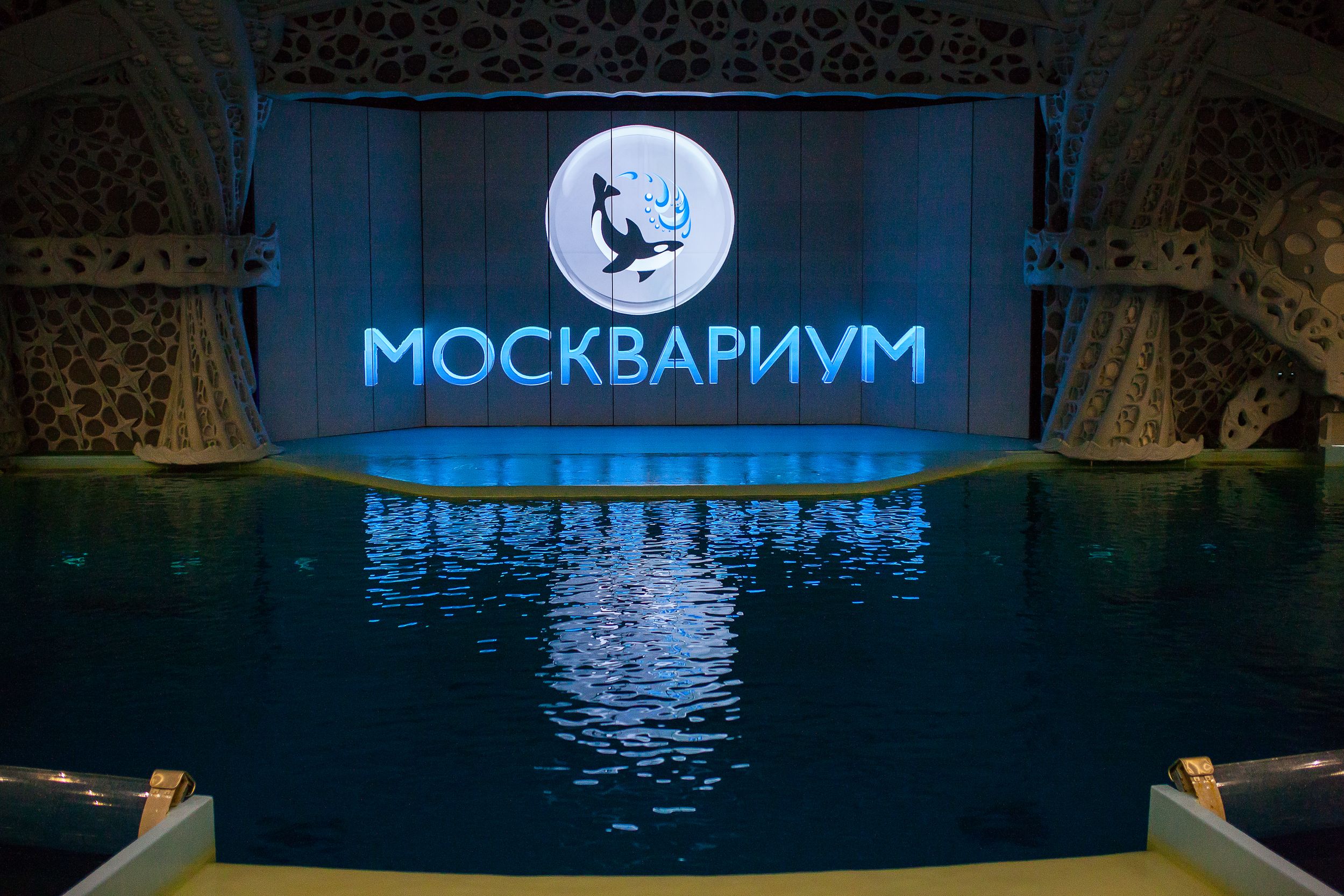 «Москвариум» примет двух белух и морского льва из Евпатории