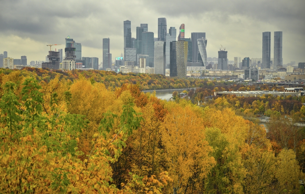 Ежегодный мониторинг деревьев и кустарников проведен в Москве
