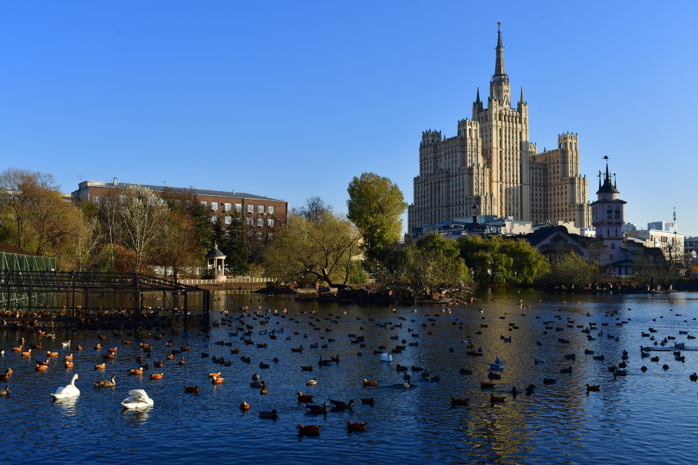 Московский зоопарк с 1 ноября изменит часы работы